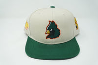 CS Snapback Hat