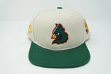 CS Snapback Hat