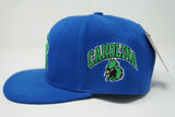 CS Snapback Hat