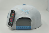 CS Snapback Hat
