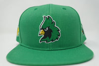 CS Snapback Hat