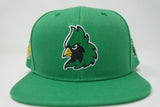 CS Snapback Hat