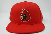 CS Snapback Hat