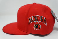CS Snapback Hat