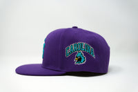 CS Snapback Hat