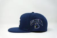 CS Snapback Hat